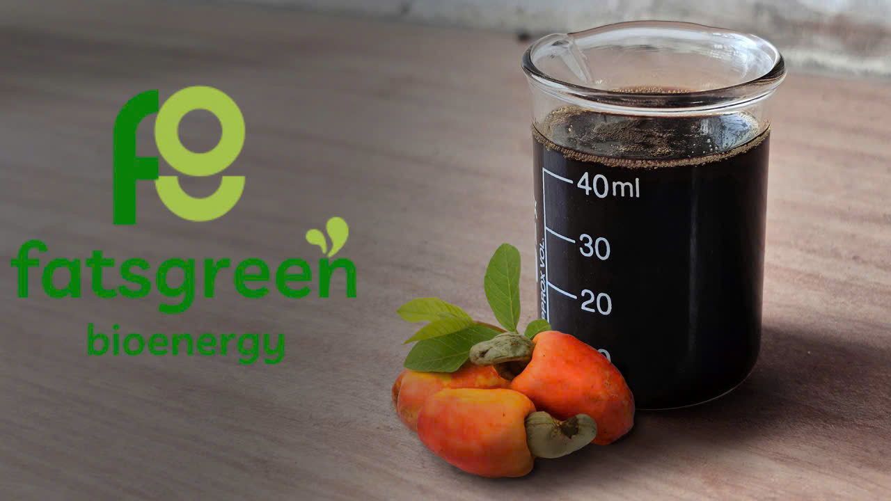 Cashew Nut Shell Liquid (CNSL) 