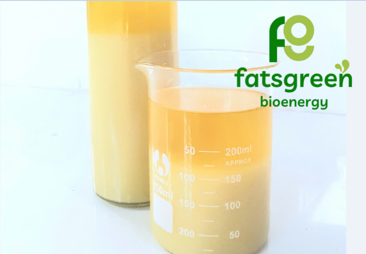 Fish Fat (Fish Oil) 